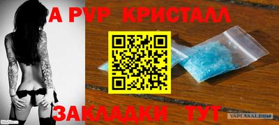 СК Ярославль