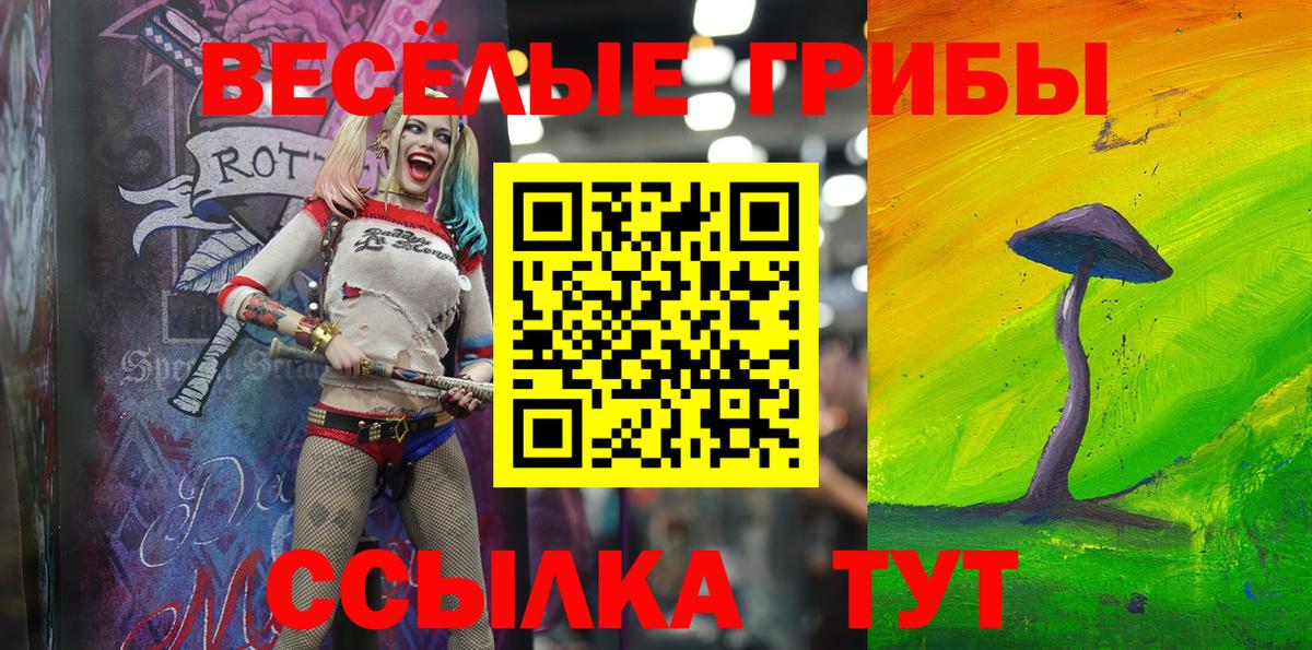 Псилоцибиновые грибы Psilocybine cubensis  Вход с VPN  Астрахань 