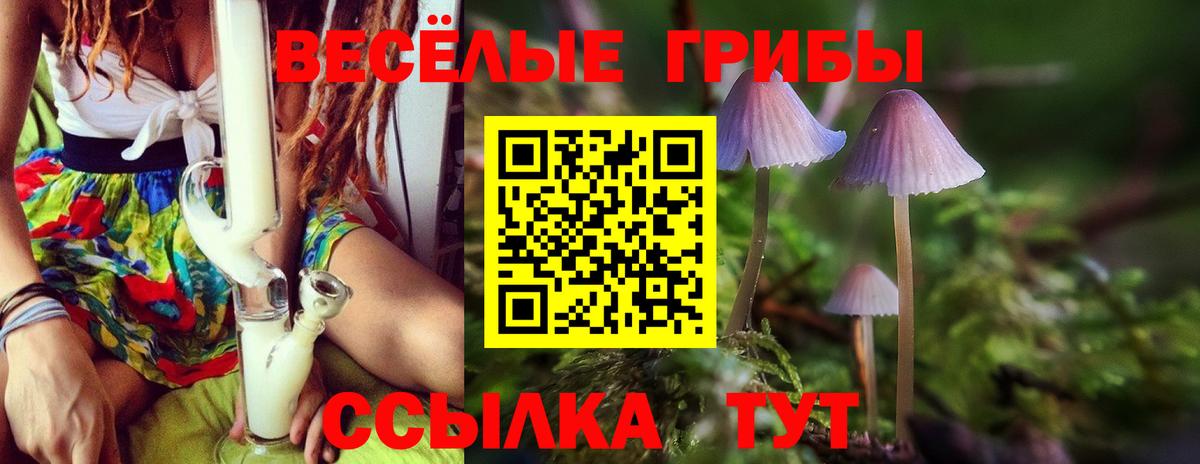 Галлюциногенные грибы GOLDEN TEACHER Астрахань